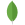MongoDB